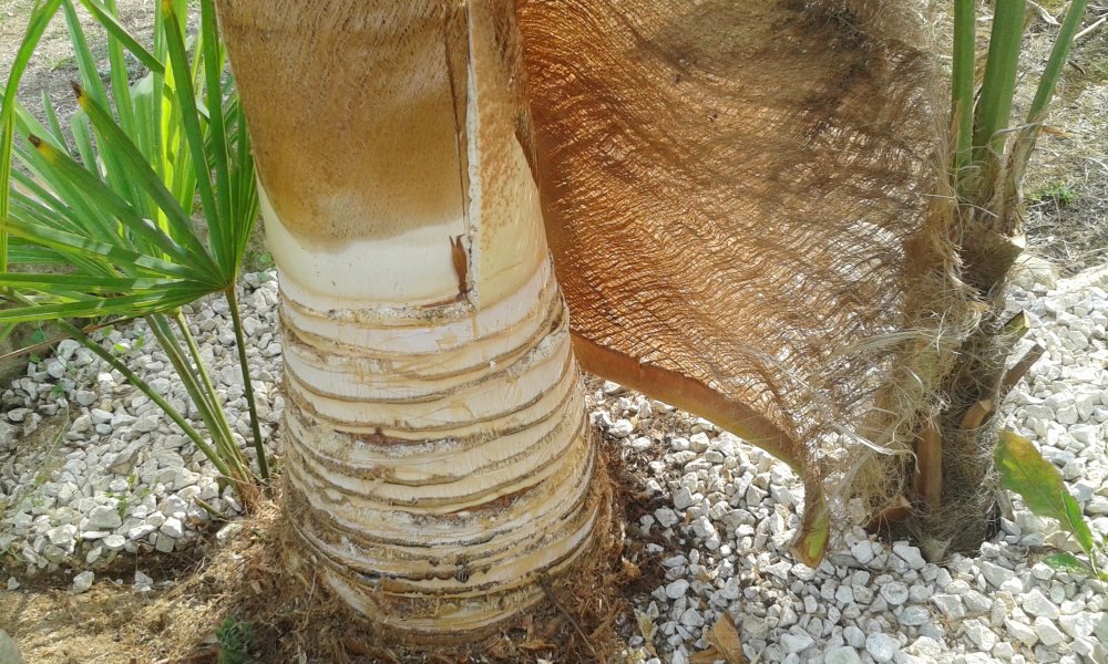 20160922_151931.jpg