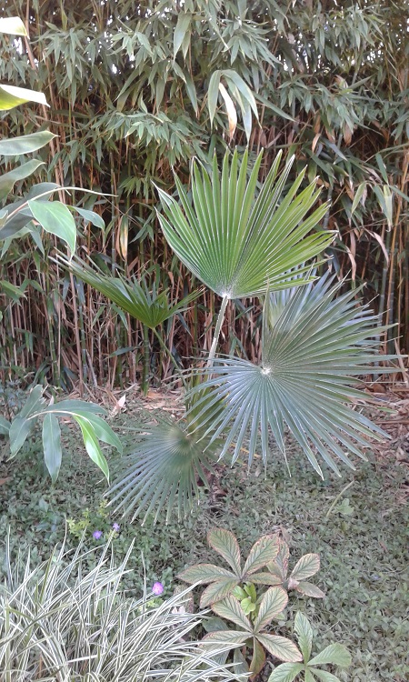 20160906_185045.jpg