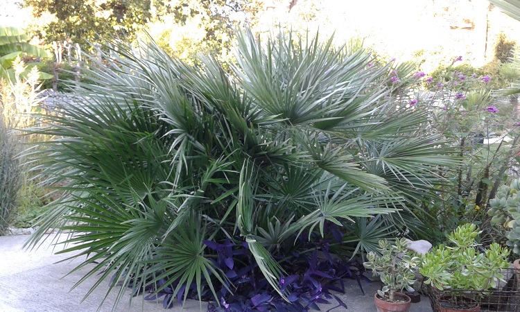 20160923_190708.jpg