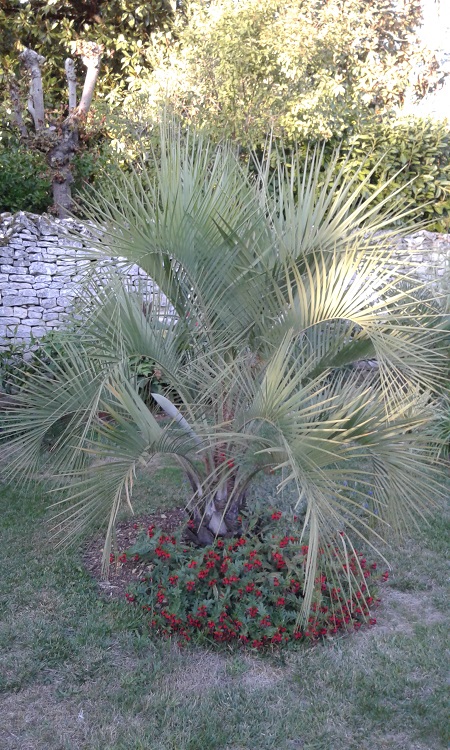 20160923_190645.jpg