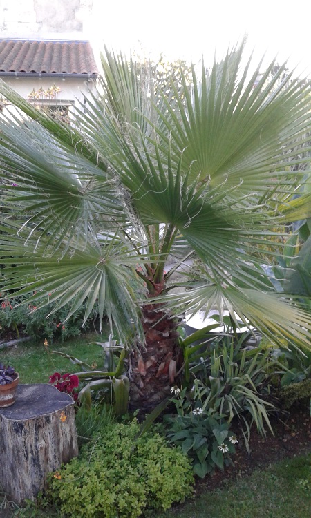 20160923_190355.jpg