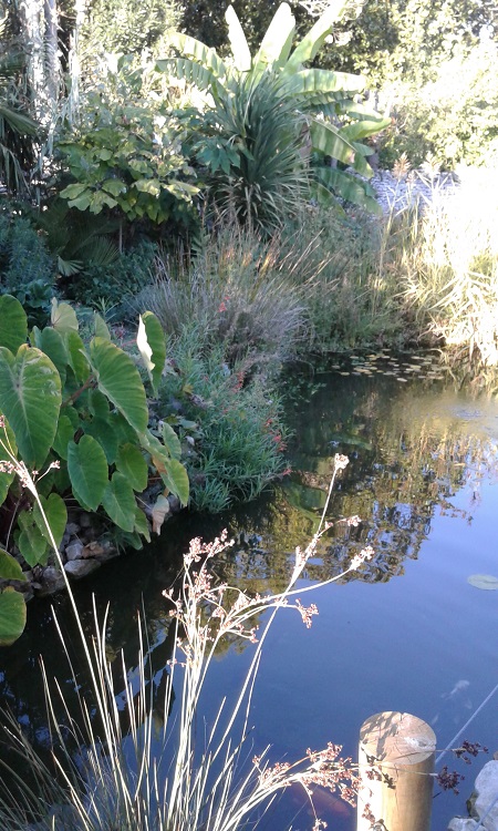 20160923_185024.jpg