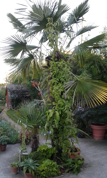 20160923_190727.jpg