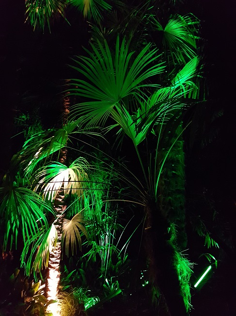 Jardin des Plantes Scopitone sept 2016 (11).jpg