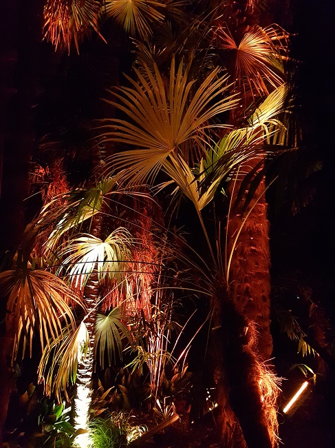 Jardin des Plantes Scopitone sept 2016 (9).jpg