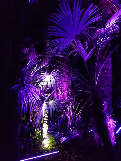 Jardin des Plantes Scopitone sept 2016 (6).jpg