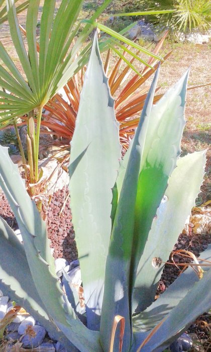 20160923_135333.jpg