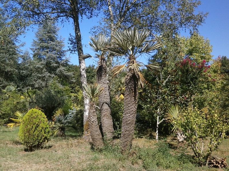 P9290131.JPG