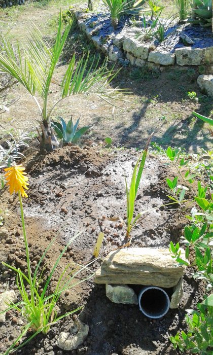 20160929_133443.jpg