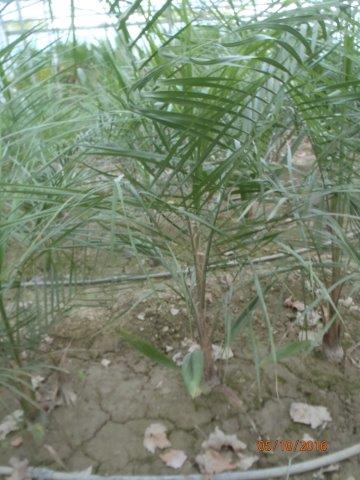 PA050025.jpg