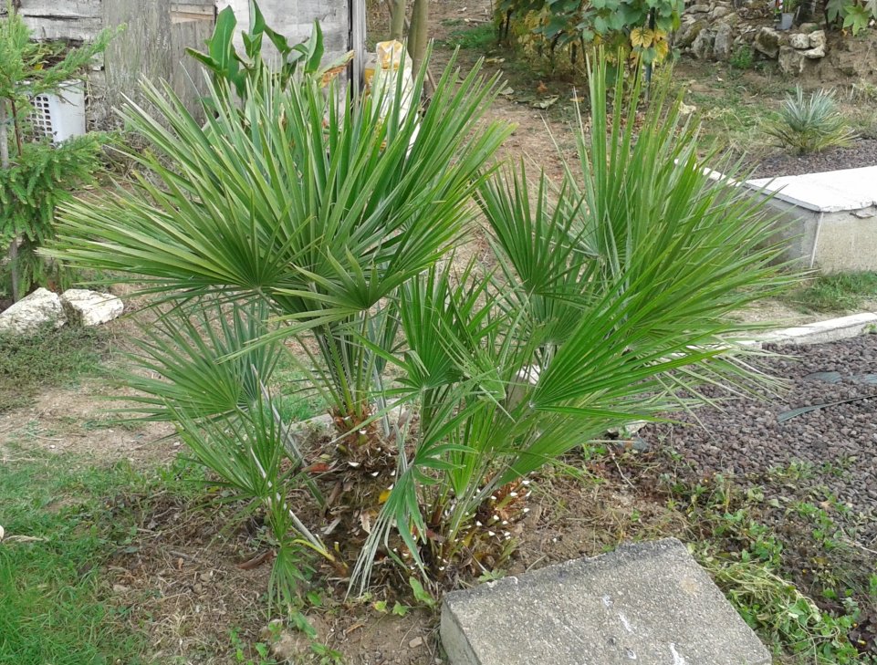20161005_173747.jpg