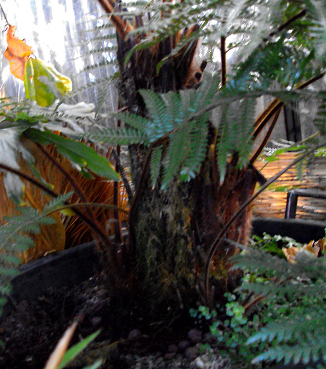 DSC02292.jpg