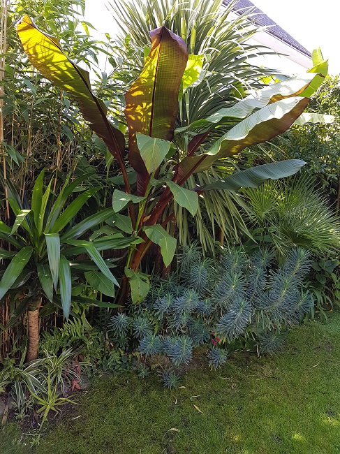 Jardin 22102016 (12).jpg