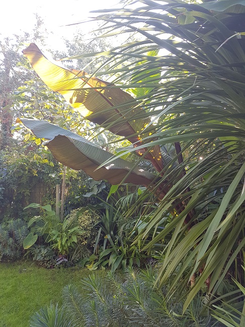 Jardin 22102016 (4).jpg