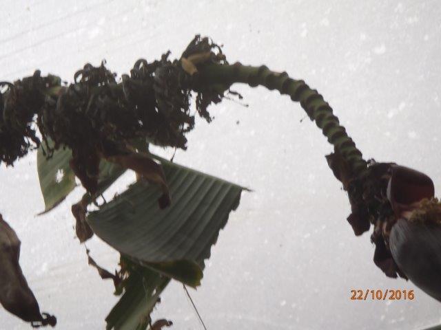 PA220003.jpg