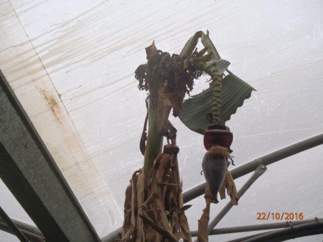 PA220001.jpg