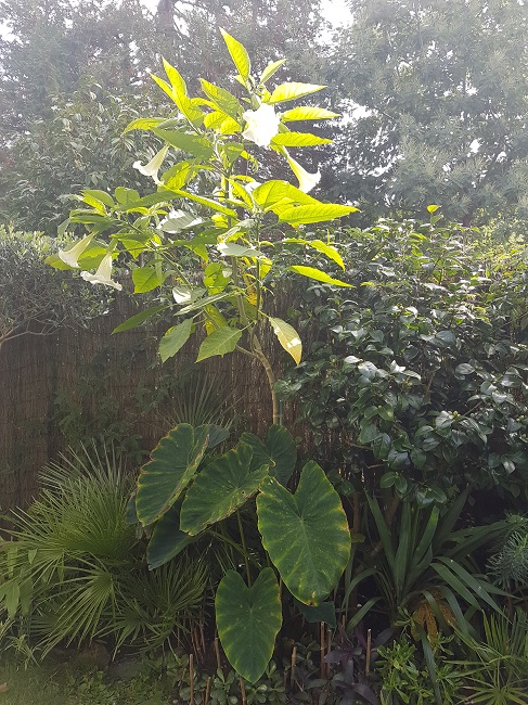 20161027_132825.jpg