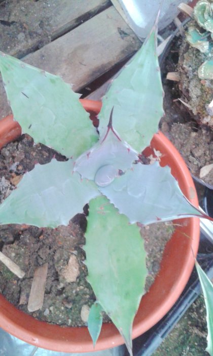 20161027_101440.jpg