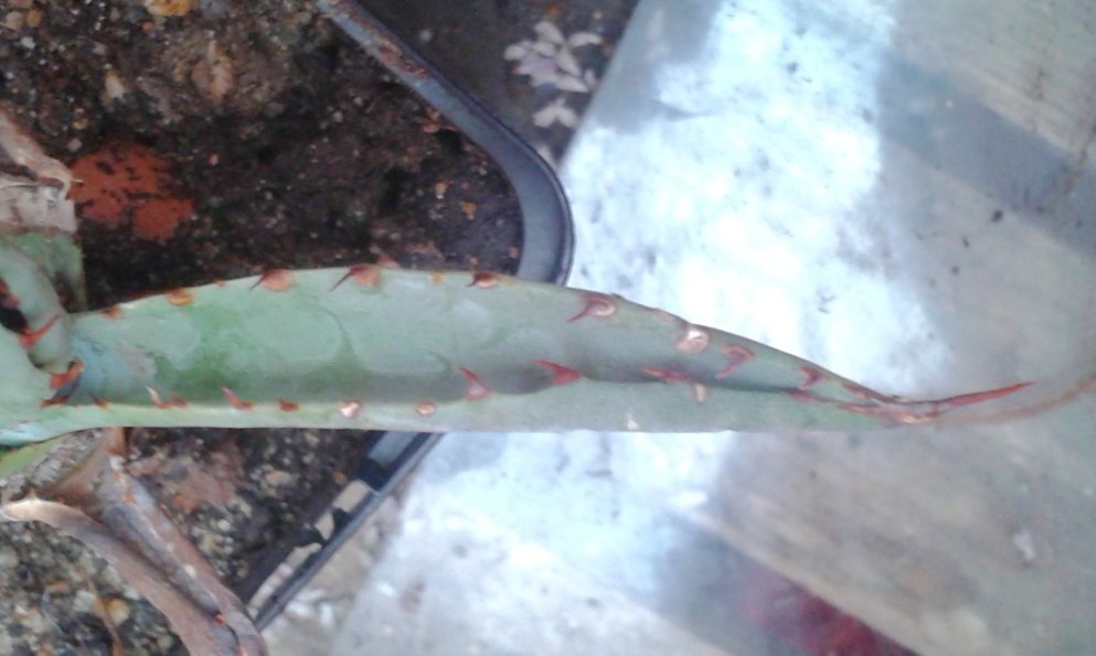 20161027_101552.jpg