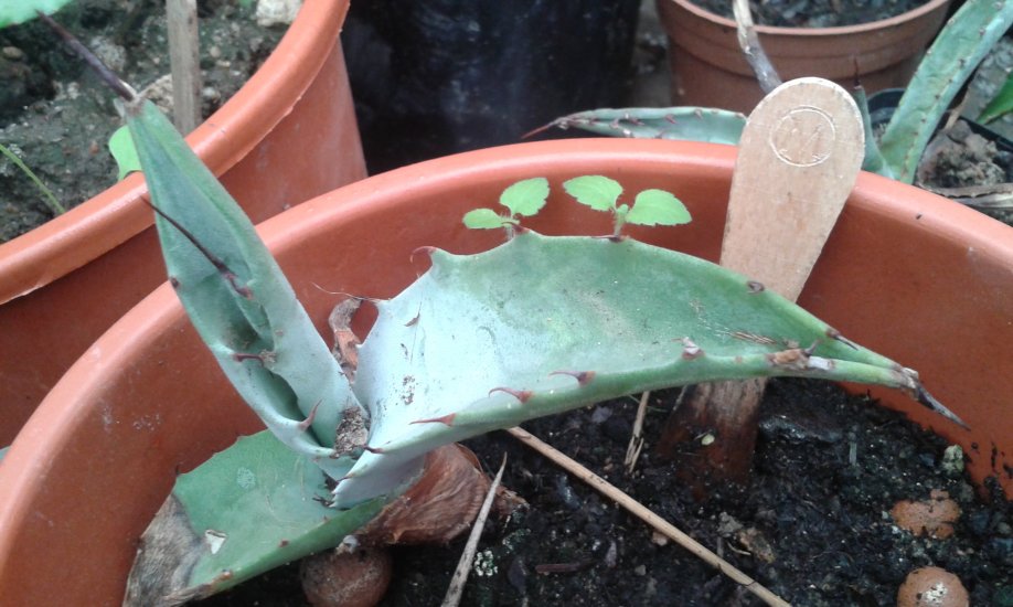 20161027_101407.jpg