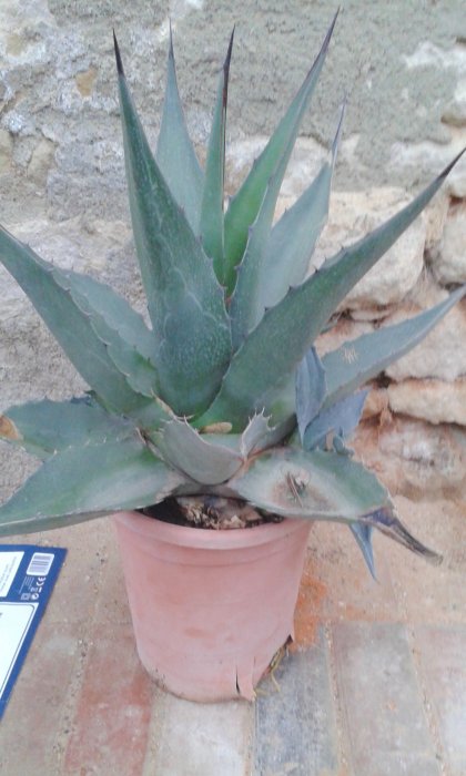 20161110_082534.jpg