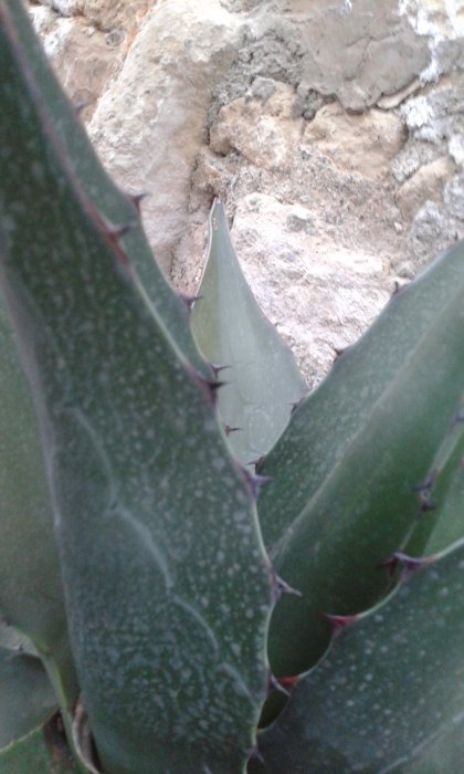 20161110_082613.jpg