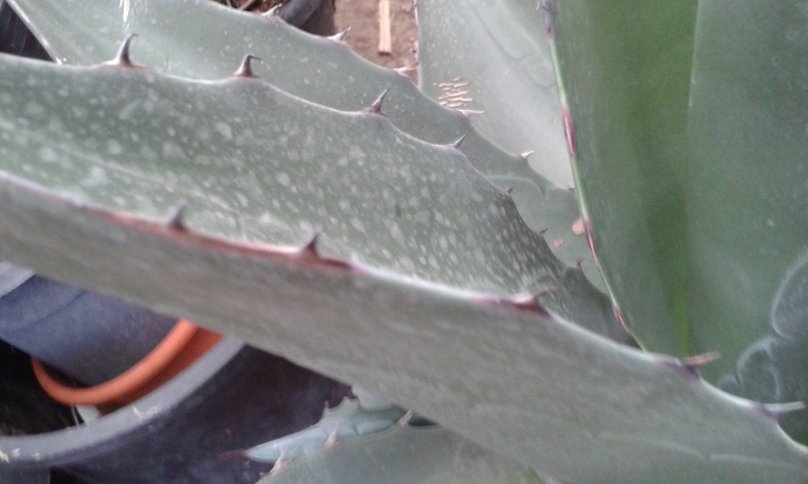 20161110_104201.jpg