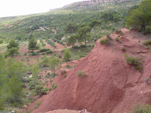 Copie de P070709_16.39 (600x450).jpg