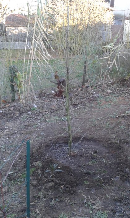 20161201_162358.jpg