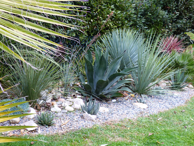 P1090452fh.jpg