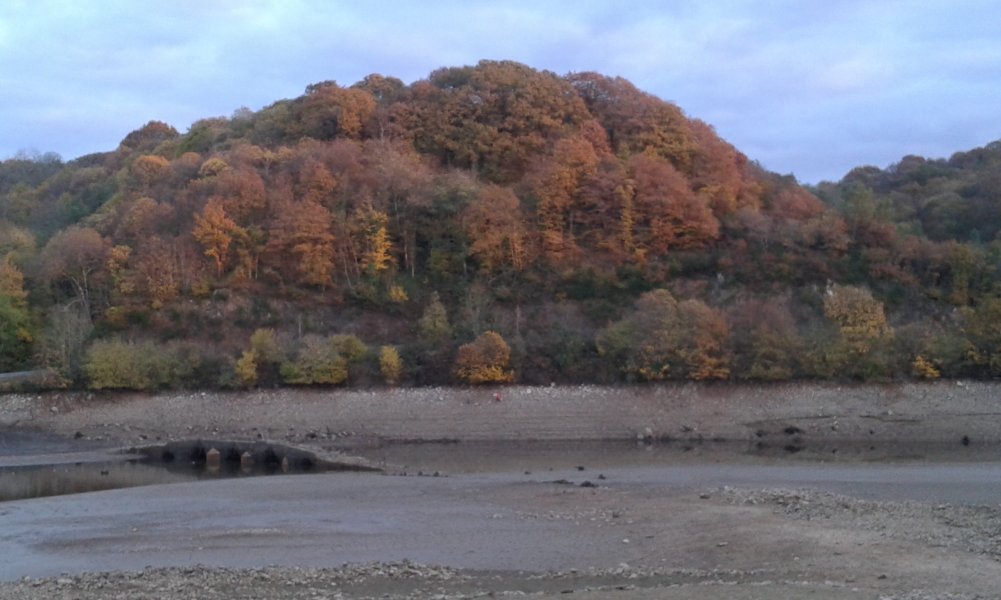 20161113_171714.jpg