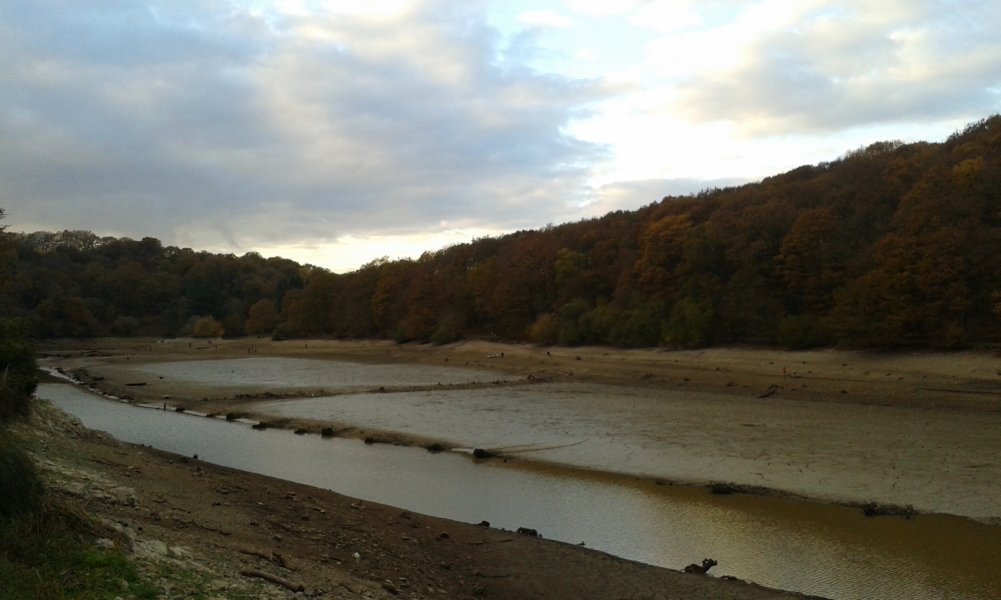 20161113_165712.jpg