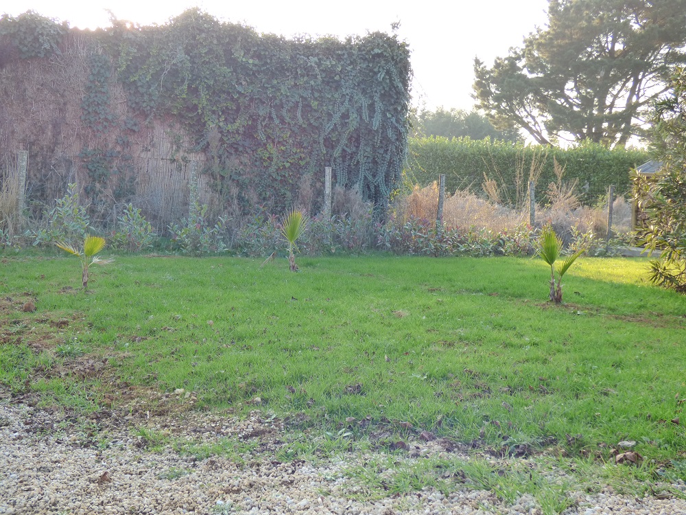 P1000622b.jpg