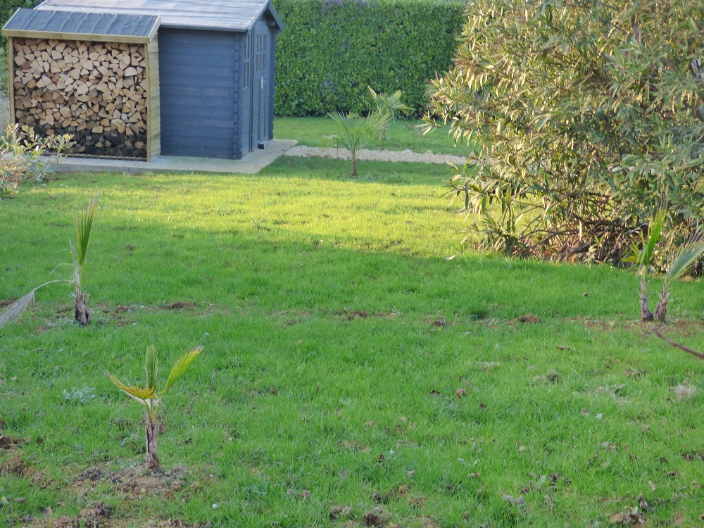 P1000624b.jpg