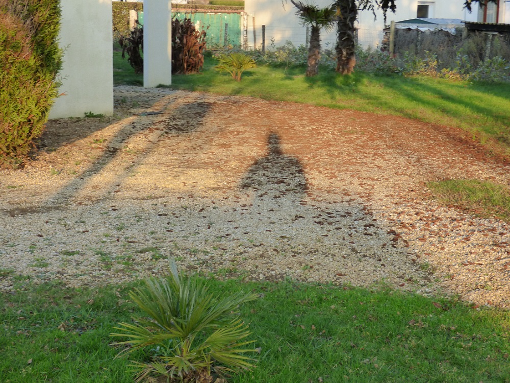 P1000625b.jpg