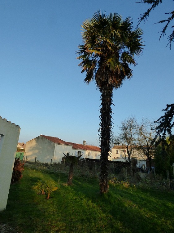 P1000627D.jpg