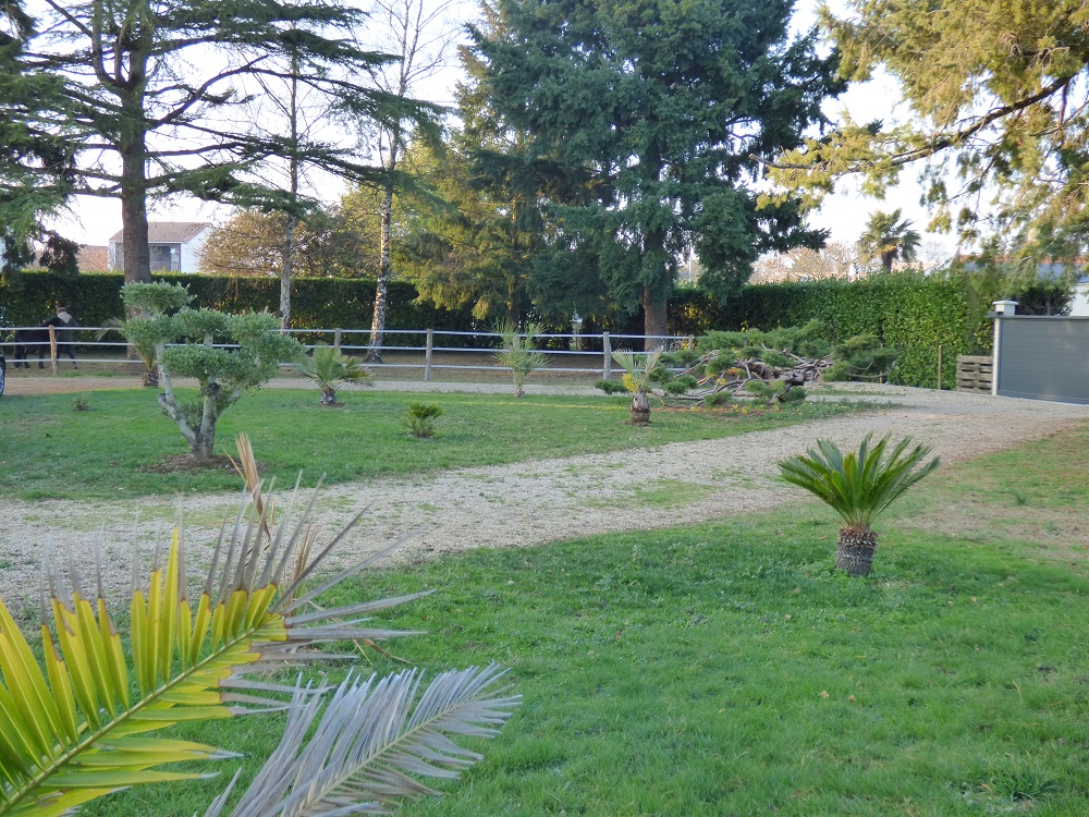 P1000629b.jpg