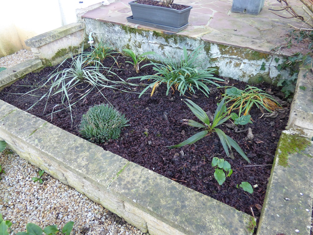 P1000632b.jpg