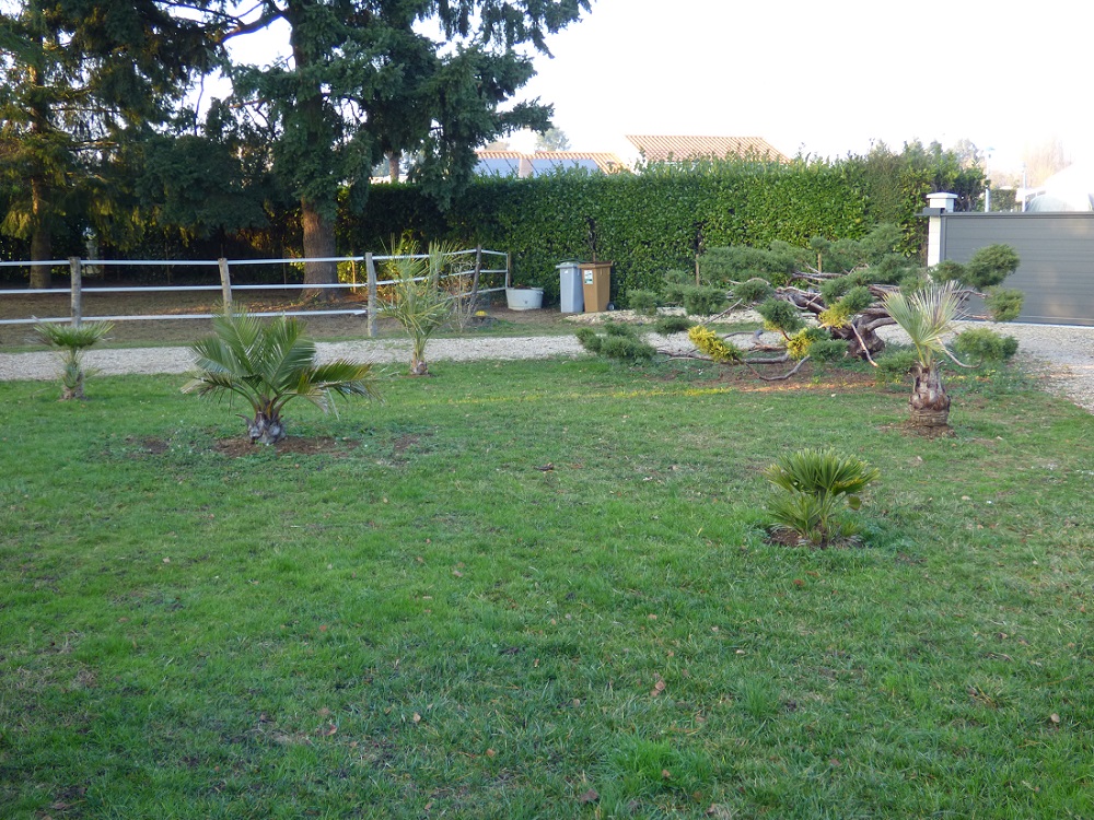 P1000633b.jpg