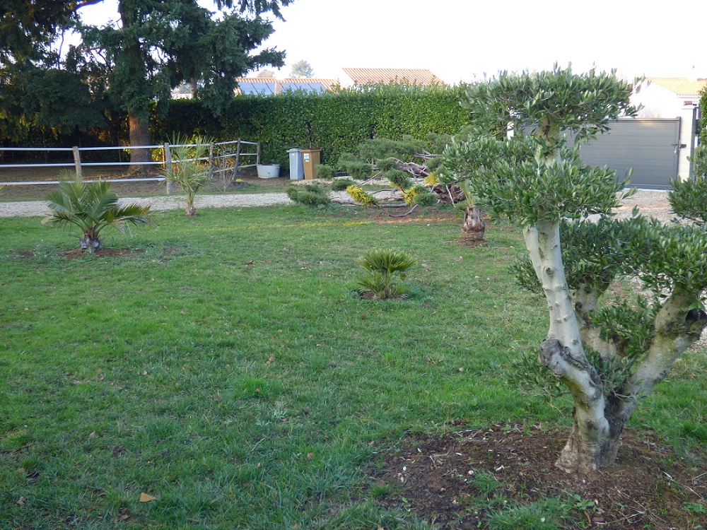 P1000634b.jpg