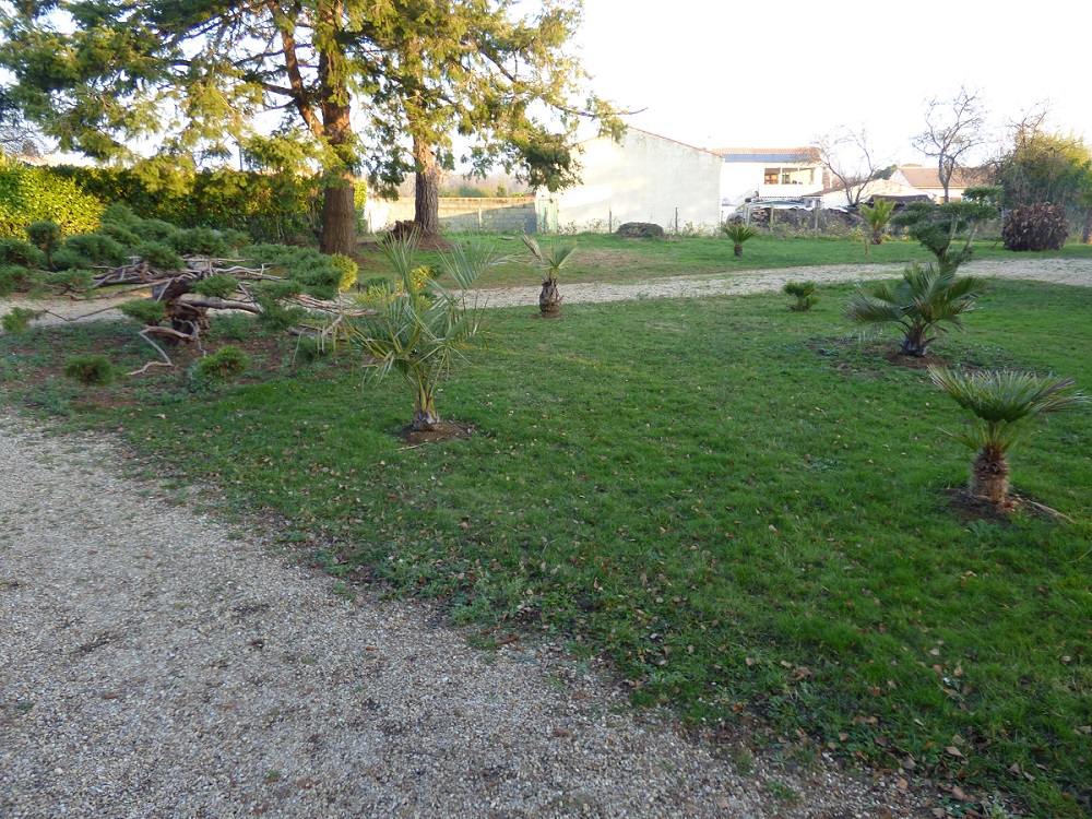 P1000641b.jpg