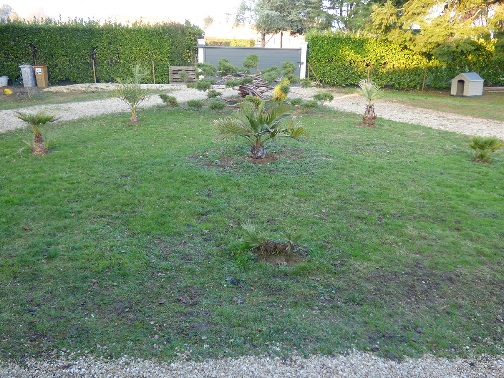 P1000643b.jpg