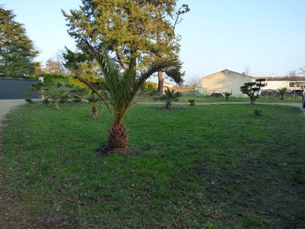 P1000644c.jpg