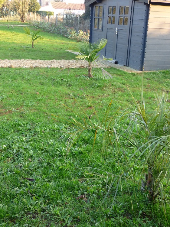 P1000659c.jpg