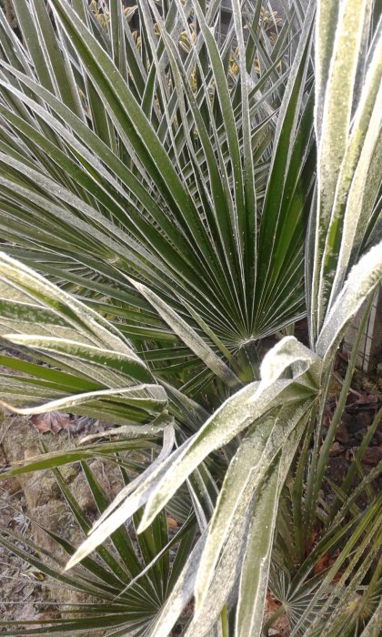 20170104_090158.jpg