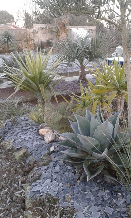 20170104_090329.jpg