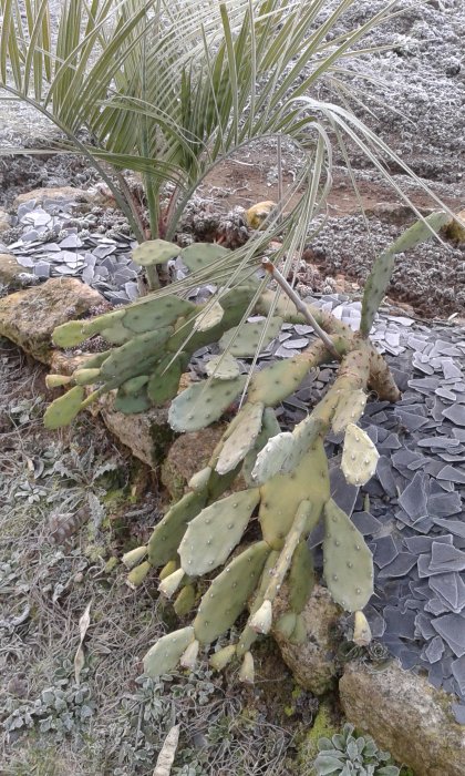 20170106_091701.jpg