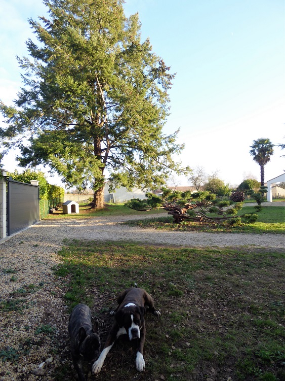 P1000736B.jpg
