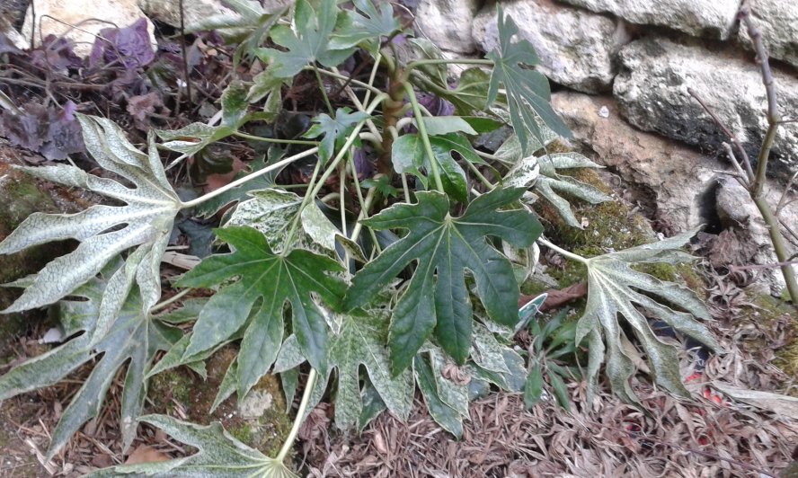 20170119_153357.jpg