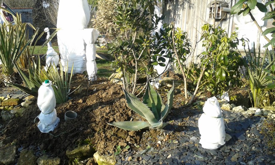 20170119_152630.jpg